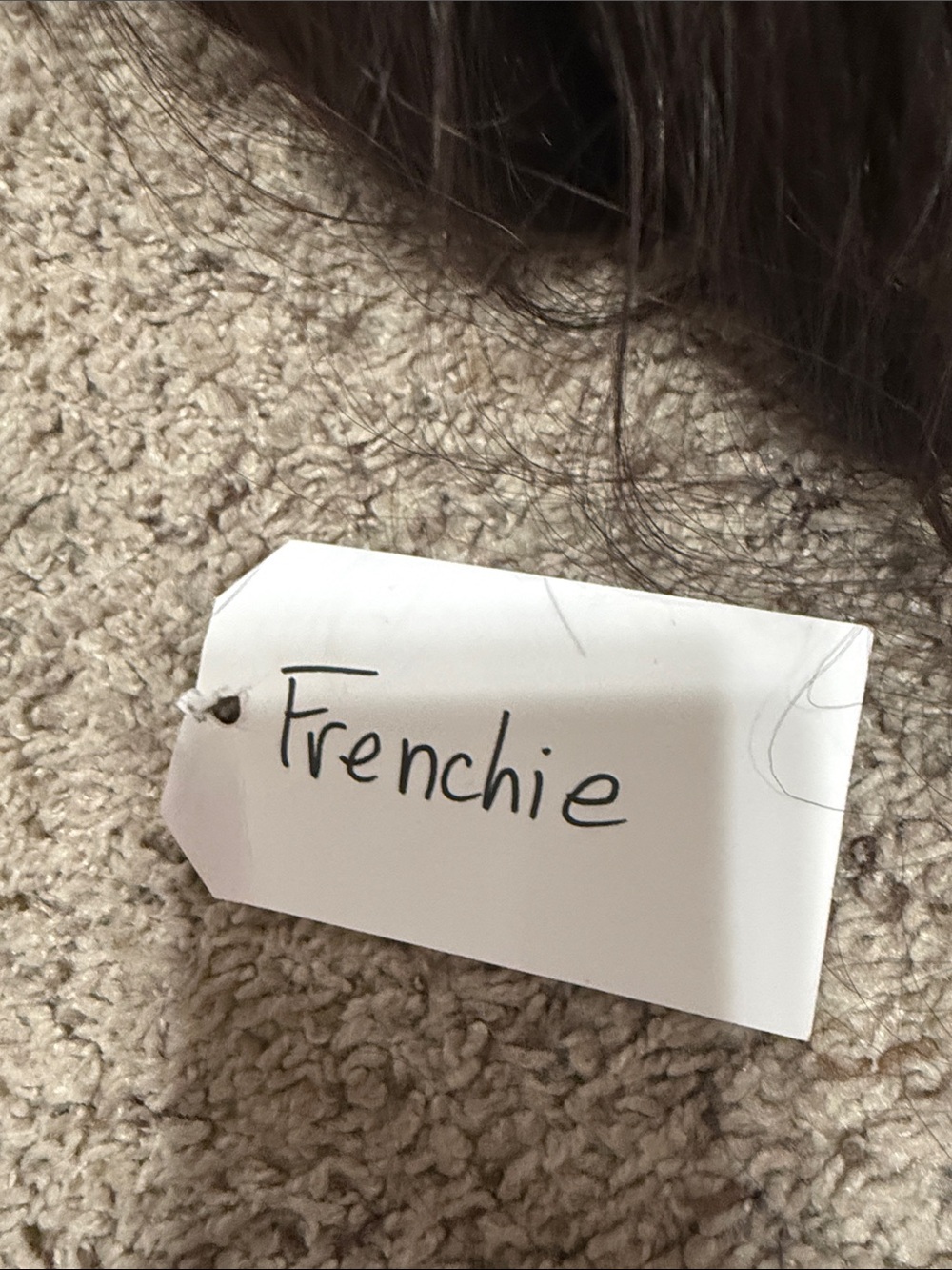 Sassy Misfits Frenchie - Picture 8 of 10